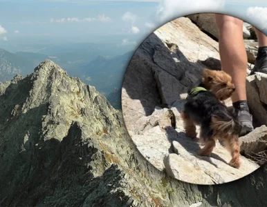 Miniatura: „Szczyt głupoty” na nagraniu z Tatr....