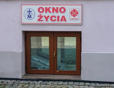 Miniatura: Zaskakujące odkrycie w oknie życia we...