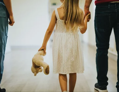 Miniatura: Rozwody a dobro dzieci