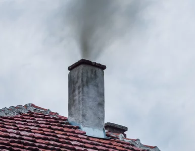 Miniatura: ETS-2 dzieli ekspertów. Możemy dostać po...