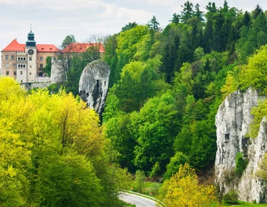 Miniatura: Ryk silników zamiast śpiewu ptaków....