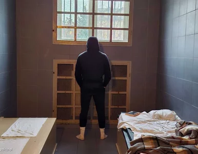 Miniatura: Wracał na święta do domu, może już nigdy...