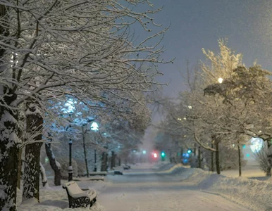 Miniatura: Prognoza na Święta Bożego Narodzenia....