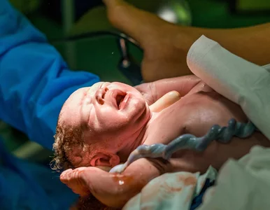 Miniatura: Polscy naukowcy: „Święty Graal” inżynierii...