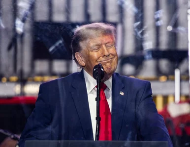 Miniatura: Donald Trump chwali Polskę i Karola...