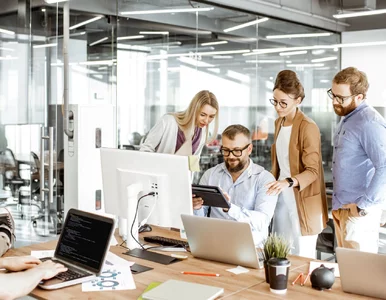 Miniatura: Śmieciówki w odstawkę. Czy to się uda?