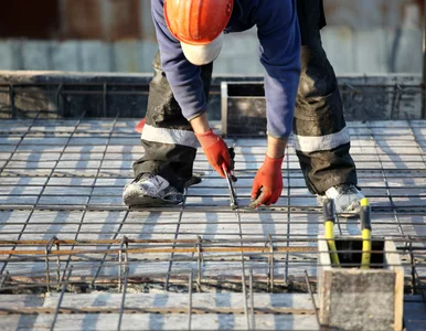 Miniatura: Coraz więcej cudzoziemców pracuje w...