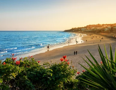 Miniatura: Hit na grudzień. Loty na słoneczną wyspę...