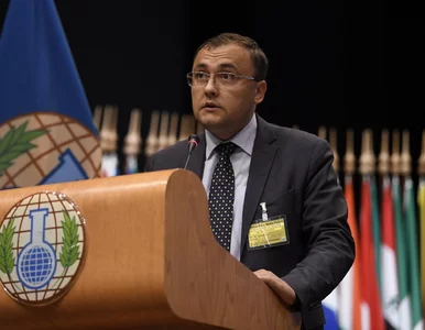 Miniatura: Dziennikarka nagłośniła rzekomą wypowiedź...