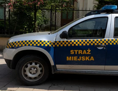 Miniatura: Zgłosiłeś piec? Strażnicy już pukają do...
