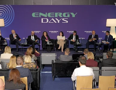 Miniatura: O zielonej przyszłości ciepłownictwa na...