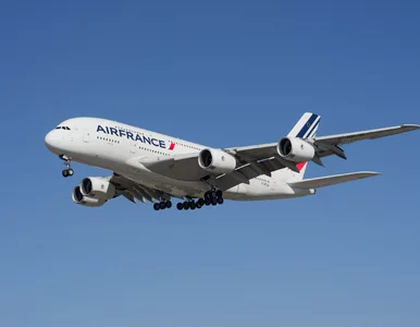 Miniatura: Tragedia podczas lotu europejskiej linii....