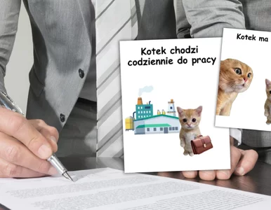 Miniatura: Takiej kampanii jeszcze nie było....