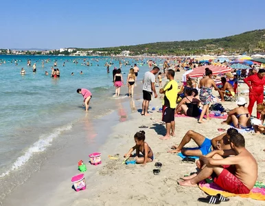 Miniatura: Wakacje bez tanich last minute? Szef...