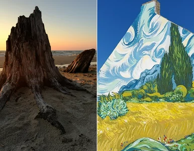 Miniatura: Cuda Polski 2025. Każdy może wybrać...