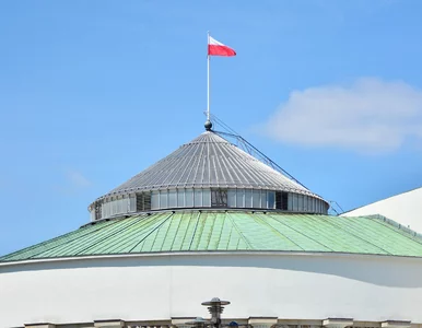Miniatura: Zaskakujące wyniki nowego sondażu. Tak...