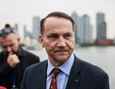 Miniatura: Tak mówiono o Sikorskim w USA. Wszystko...