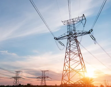 Miniatura: 25 energetycznych gigantów. Te firmy...