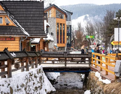 Miniatura: Tak wybrali Polacy. Zaskakujące dane...