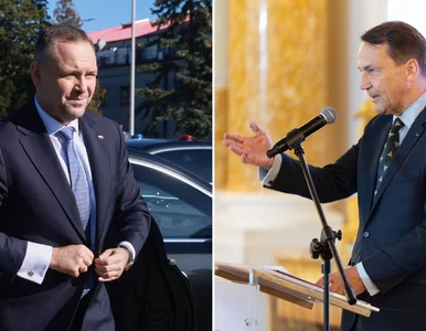 Miniatura: Zgrzyt przed wizytą Sikorskiego i...