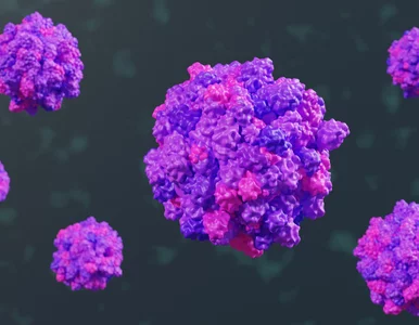 Miniatura: W policji ogłoszono kwarantannę. Doszło do...