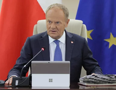 Miniatura: Jedna „jaskółka” i koniec. Najnowszy...