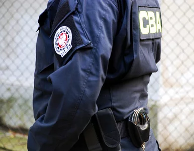 Miniatura: Ksiądz wśród kilkunastu osób zatrzymanych...