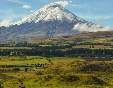 Miniatura: Bez tego szczepienia nie wjedziesz do...