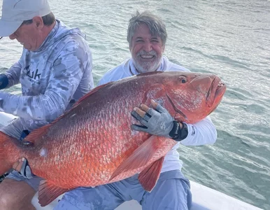 Miniatura: 6-letni rekord przechodzi do historii....