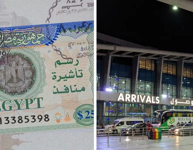 Miniatura: Znakomita wiadomość dla Polaków. Nowy...