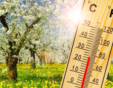 Miniatura: Długoterminowa prognoza dla Polski. Może...