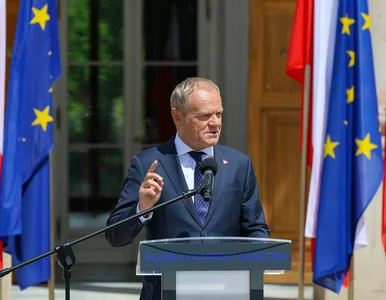 Miniatura: Tusk powinien szukać planu B? Polacy dali...
