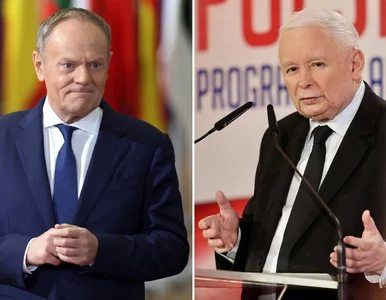 Miniatura: Słodko-gorzki sondaż dla KO. PiS z...