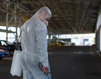 Miniatura: Alarm pod Wrocławiem. Wykryto groźny...