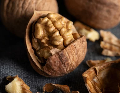 Miniatura: Masz ten problem z jelitami? Ekspertka:...