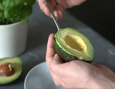 Miniatura: Jedli awokado codziennie przez 26 tygodni....