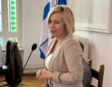 Miniatura: Burzliwe obrady rady miasta. „Niech się...