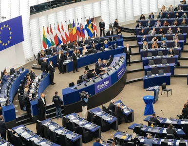 Miniatura: Gorzkie słowa niemieckiego europosła. Mówi...