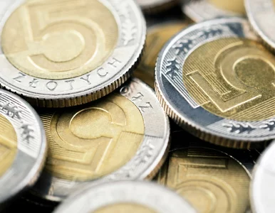 Miniatura: Złoty w dół, dolar rośnie. Powodem jedna...