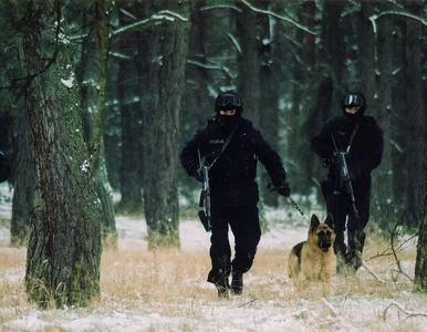 Miniatura: Elita kryminałów na Netflix. To teraz...