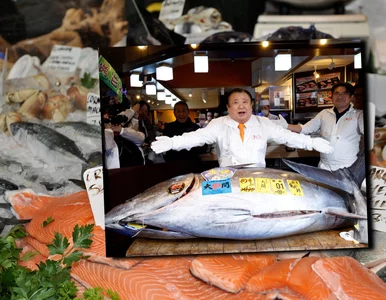 Miniatura: Olbrzymi tuńczyk trafił na aukcję. Jego...