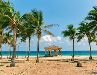 Miniatura: Bezpośrednie połączenie z Polski do raju...