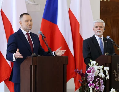 Miniatura: Nawrocki nie ma złudzeń. Tylko Trump może...