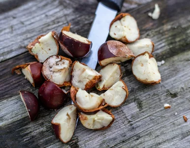 Miniatura: Krochmal z kasztanów działa lepiej niż...