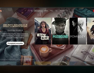 Miniatura: Netflix udostępnia filmowy księgozbiór....