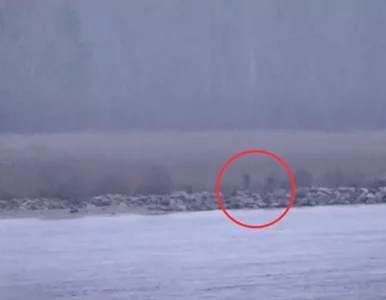 Miniatura: Trzech rosyjskich strażników weszło na...