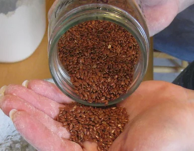 Miniatura: Siemię lniane działa tylko wtedy, gdy...