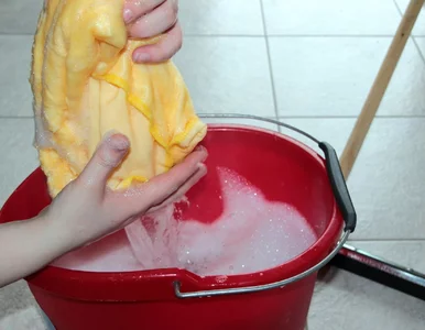 Miniatura: Dodaję kilka kropli do wiadra z wodą. Po...