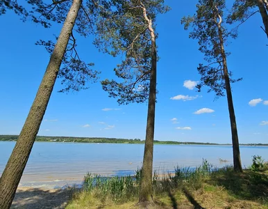 Miniatura: Woda do kąpieli, zieleń i plaża. To...