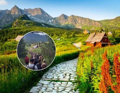 Miniatura: Taki widok zastali w Tatrach w weekend....
